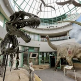 Photo: North Carolina Museum of Natural Sciences