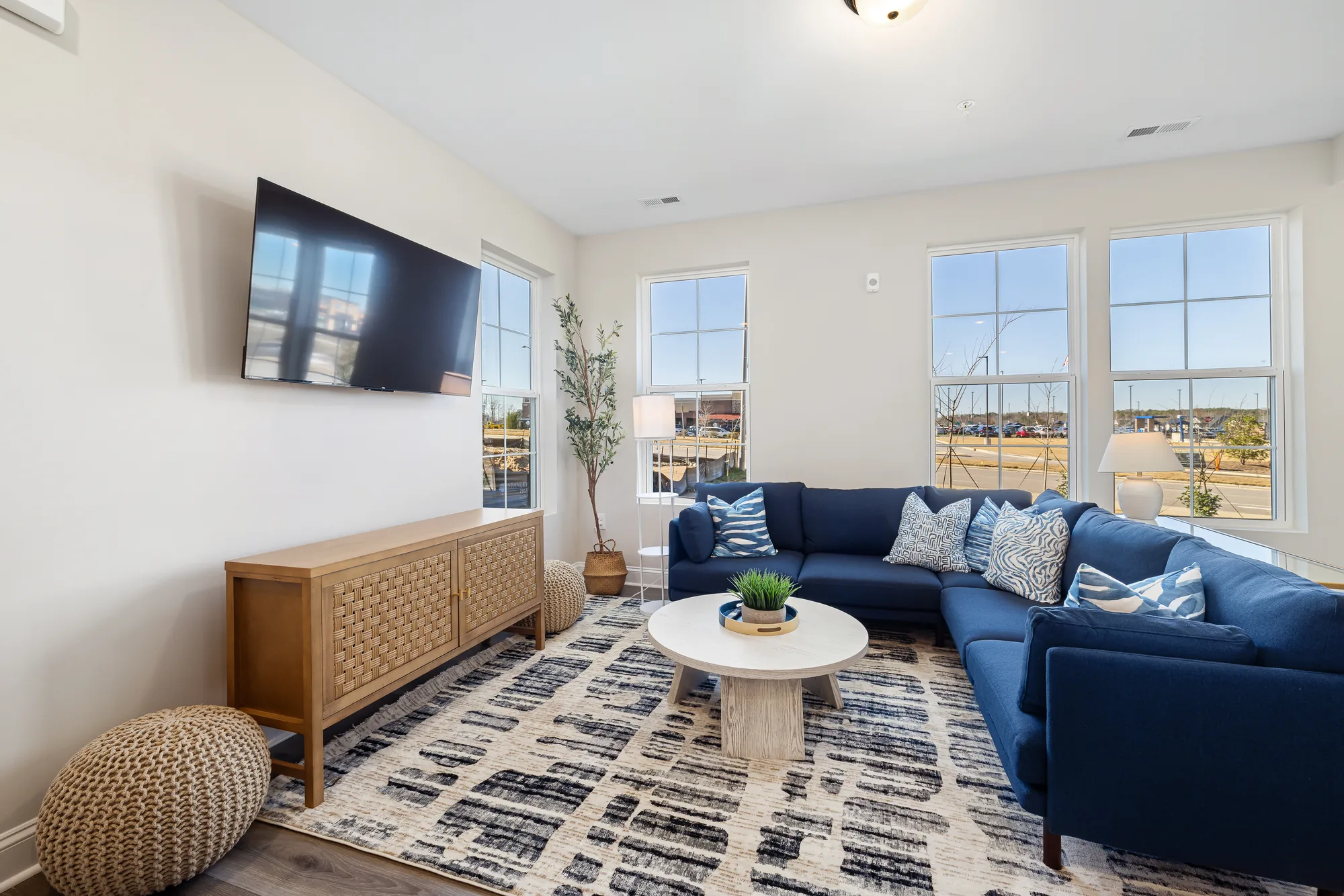 Blue sectional and olive tree in front of windows with a television on the wall